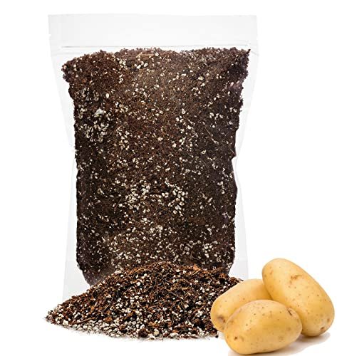 Best Potting Soil for Sweet Potatoes