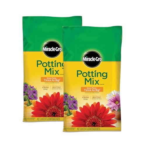 Best Potting Soil for Tulips