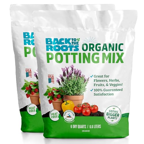 Best Potting Soil for Yarrow