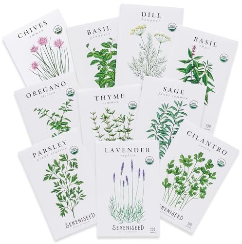 Best Seeds for Aromatic Herbs