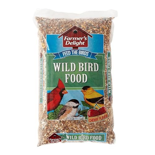 Best Seeds for Attracting Birds