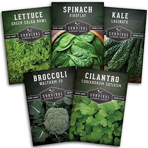 Best Seeds for Cold Climate