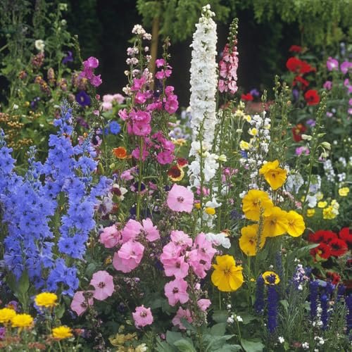 Best Seeds for Cottage Garden