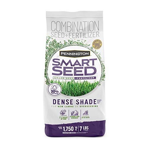 Best Seeds for Deep Shade
