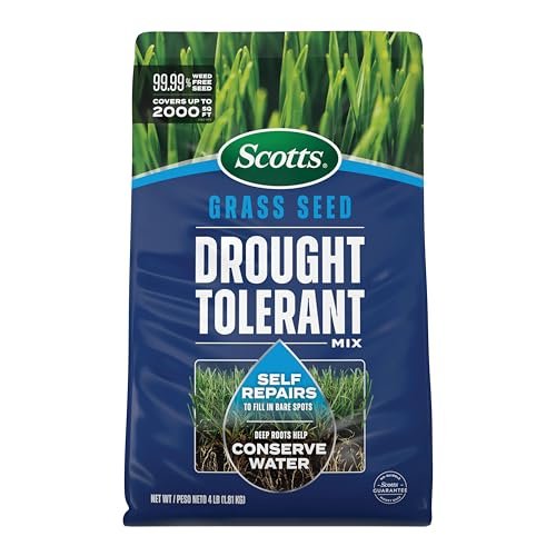 Best Seeds for Drought Resistance