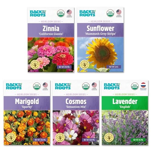 Best Seeds for Edible Flowers