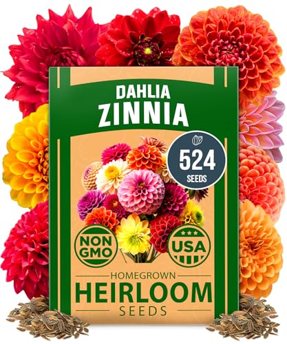 Best Seeds for Garden Border