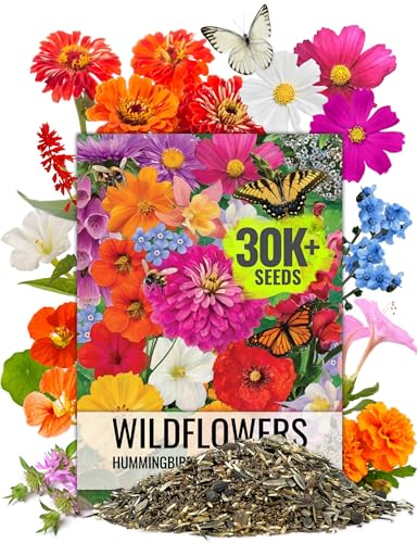 Best Seeds for Hot Climate