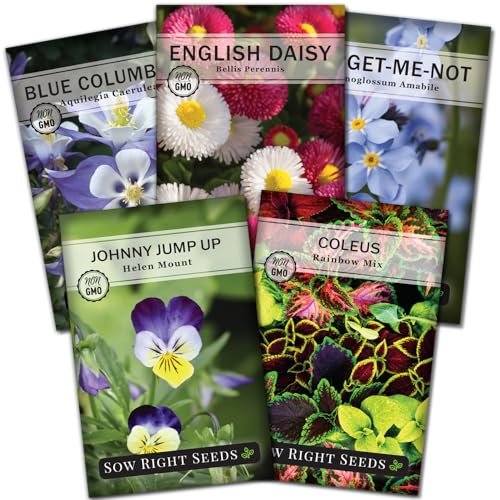 Best Seeds for Part Shade
