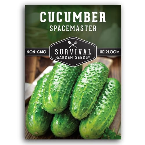 Best Seeds for Small Spaces