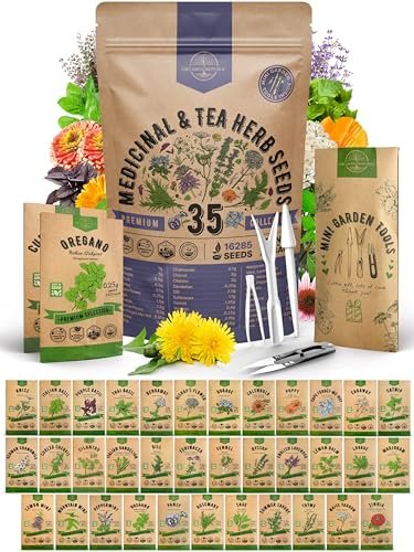 Best Seeds for Tea Garden