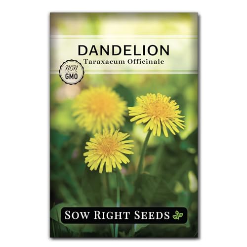 Best Seeds for Wildlife Garden