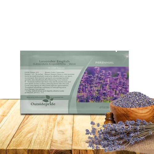 Best Seeds for Xeriscaping