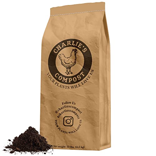 Best Soil Amendments for Container Gardens