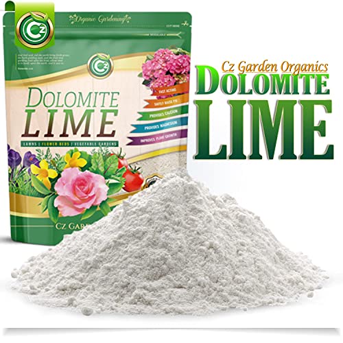 Best Soil Amendments for Flower Beds