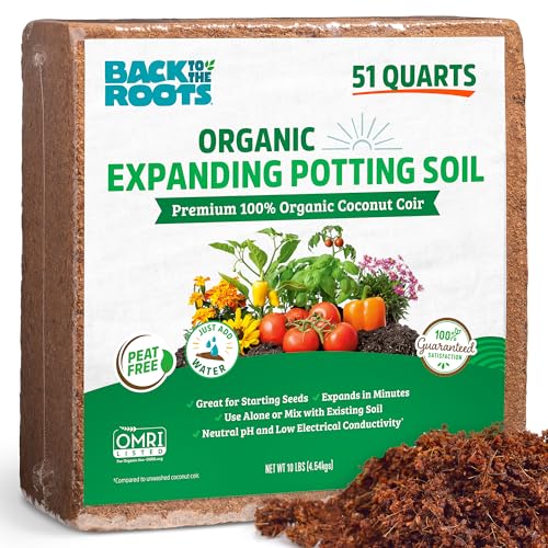 Best Soil Amendments for Root Vegetables