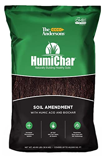 Best Soil Amendments for Sandy Soil Gardens