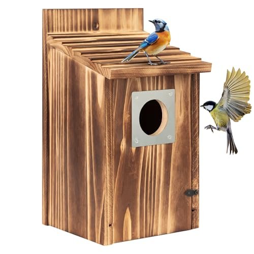 Best Trees for Bird Nests