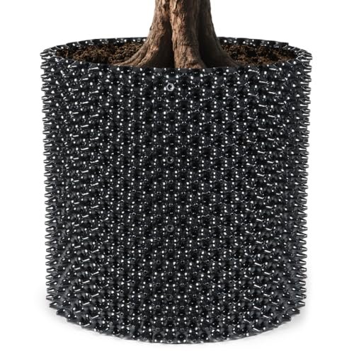 Best Trees for Containers