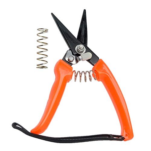 Best Trimmers for Multi-Use