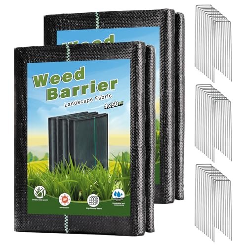 Best Weed Control for Backyards