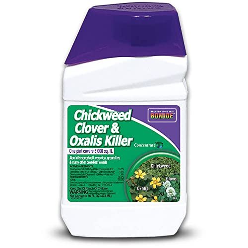 Best Weed Control for Chalky Soil
