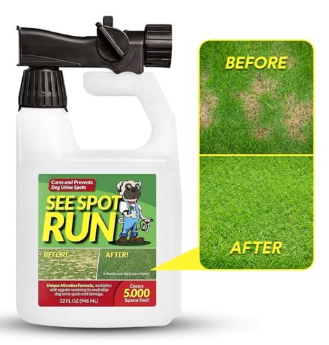 Best Weed Control for Dog Runs