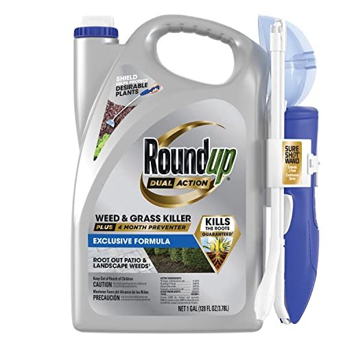 Best Weed Control for Dry Areas