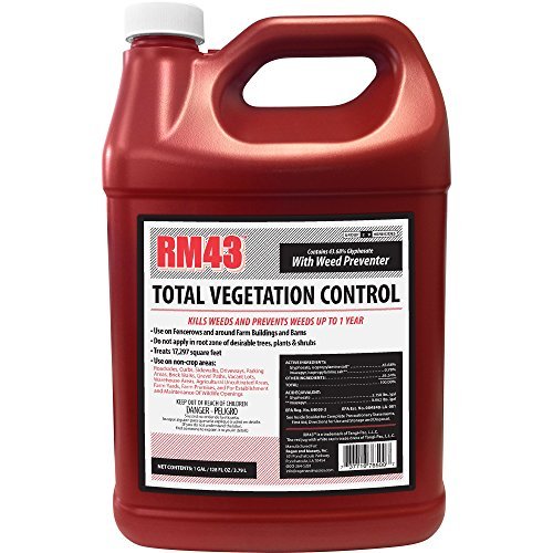 Best Weed Control for Parking Lots