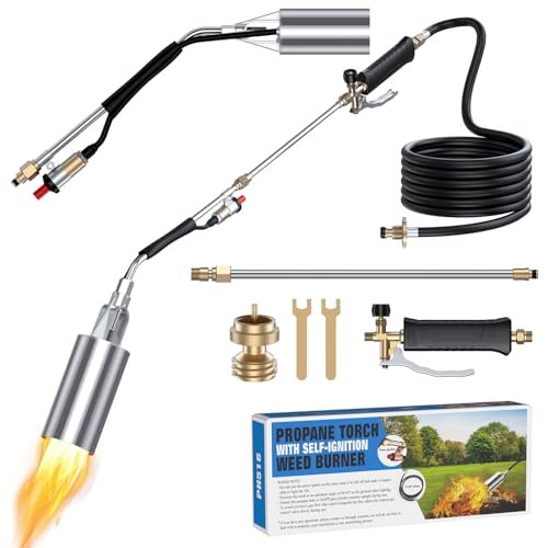 Best Weed Control for Rooftops