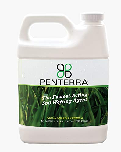 Best Weed Control for Sandy Soil