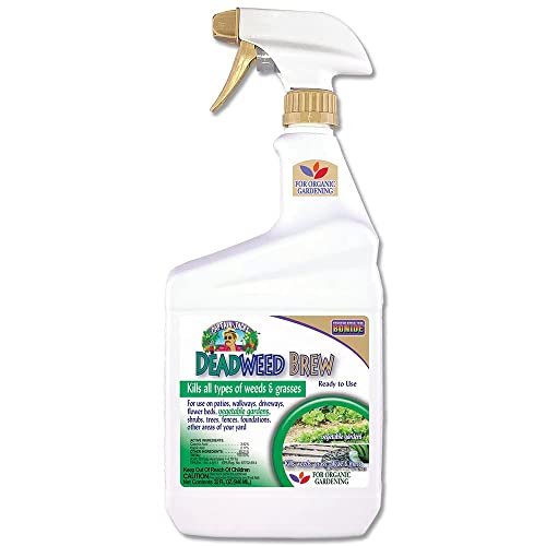 Best Weed Control for Schools