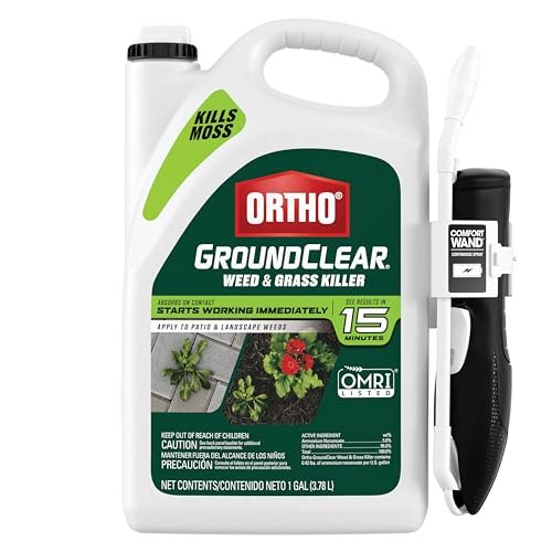Best Weed Control for Terraces