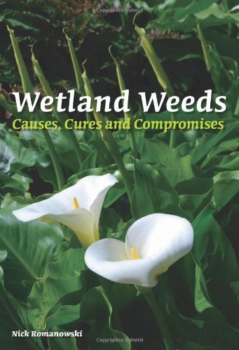 Best Weed Control for Wetlands