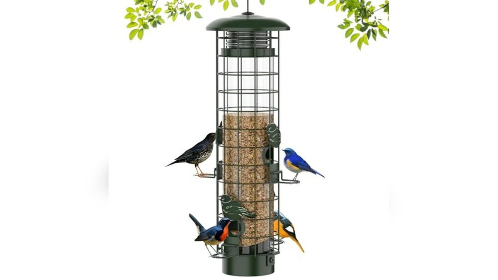 Best Outdoor Bird Feeders for Birds