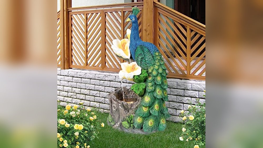 Best Water Features for Birthdays