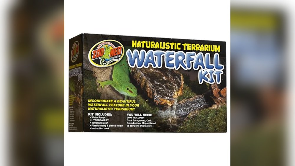 Best Water Features for Terrariums