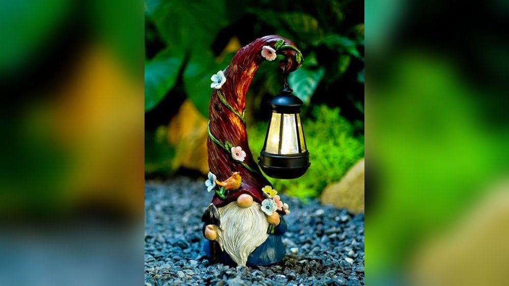 Best Outdoor Garden Gnomes for Decoration