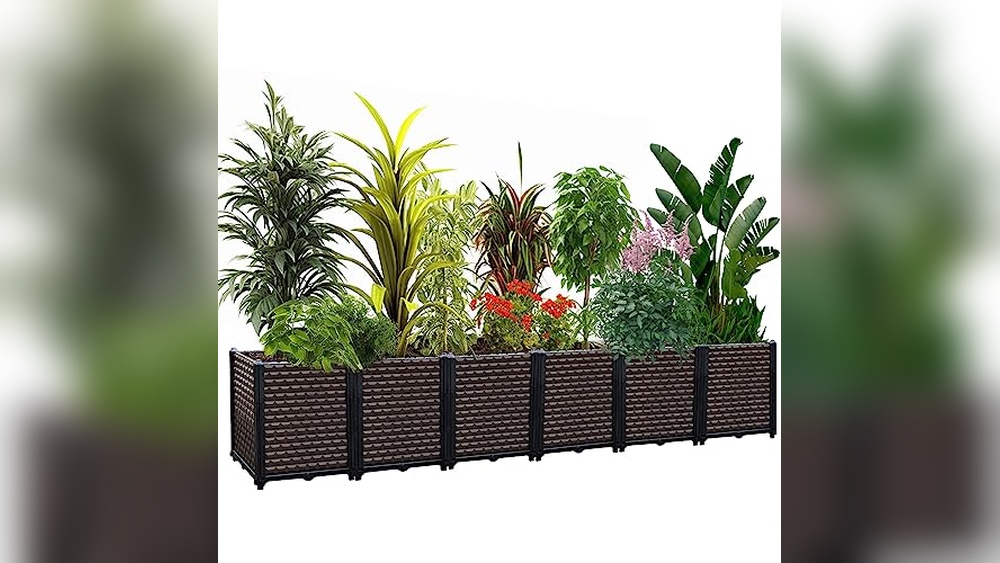 Best Outdoor Garden Planters for Plants