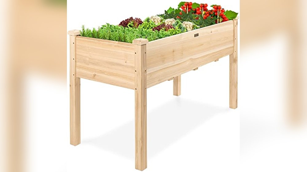 Best Outdoor Planters for Vegetables