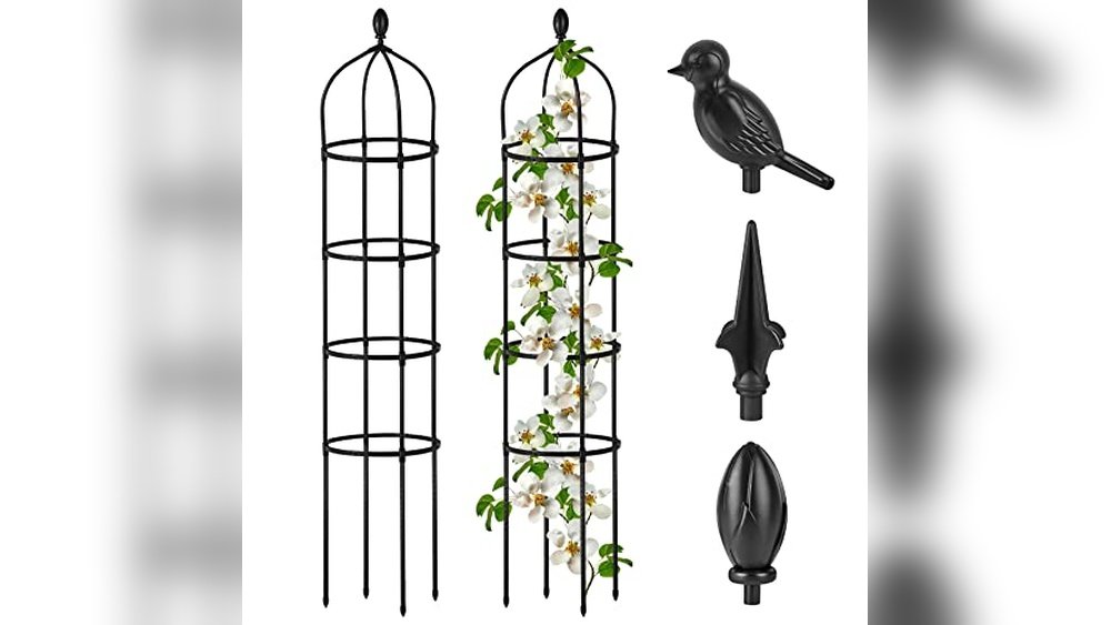 Best Outdoor Trellises for Plants