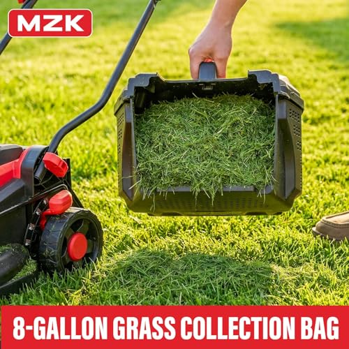 Best Lawn Mower For Small Yards