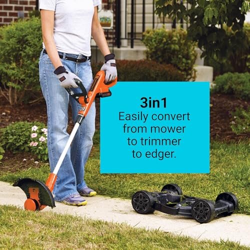 Best Mower For Weed Control