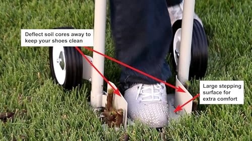 Best Aerator For Overseeding
