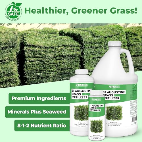 Best Mower For St Augustine Grass