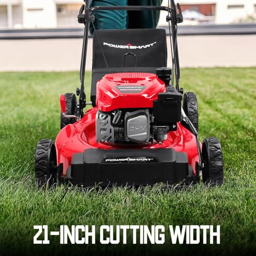 Best Push Mower