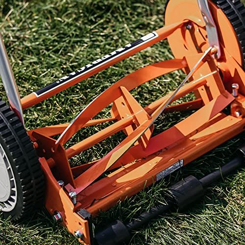 Best Mower For Kentucky Bluegrass