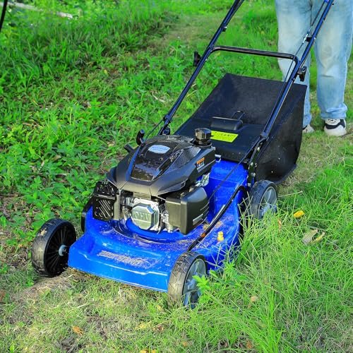 Self Propelled Vs Push Mower