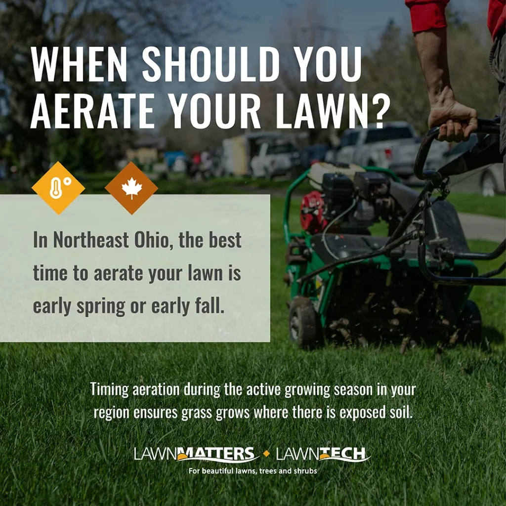 Best Time To Aerate Lawn