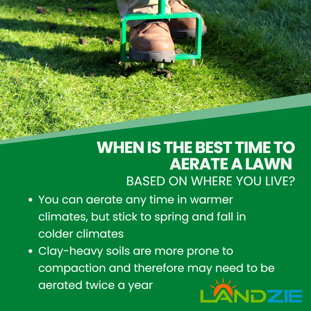 How Often Should I Aerate My Lawn
